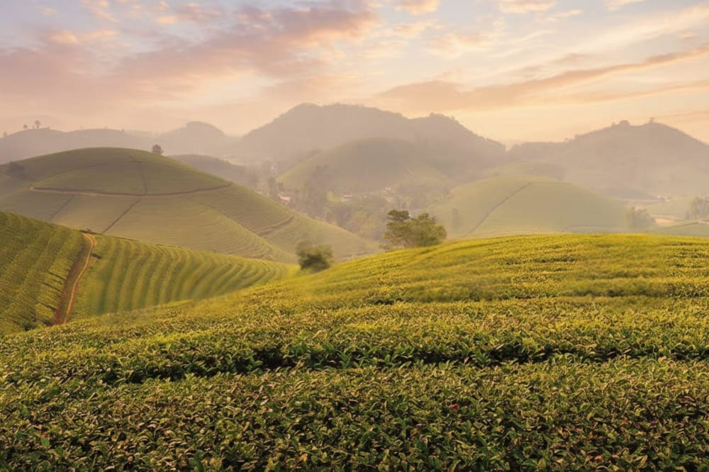 Th&aacute;i Nguy&ecirc;n mỗi m&ugrave;a lại mang những vẻ đẹp kh&aacute;c nhau